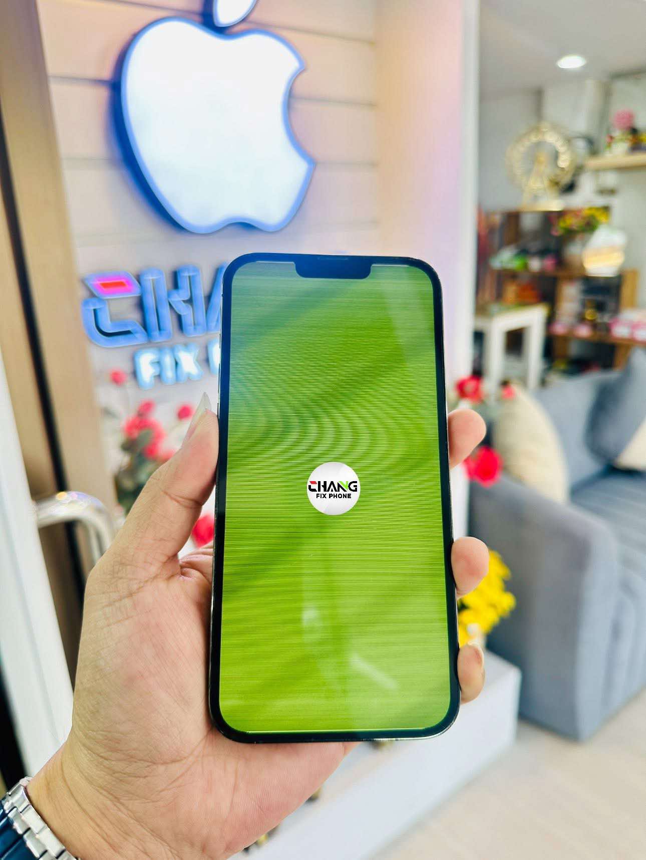 ซ่อมจอเขียว iPhone13 Promax
